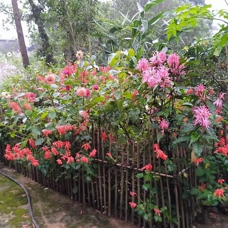 Meikha Homestay Pynursla Exterior photo