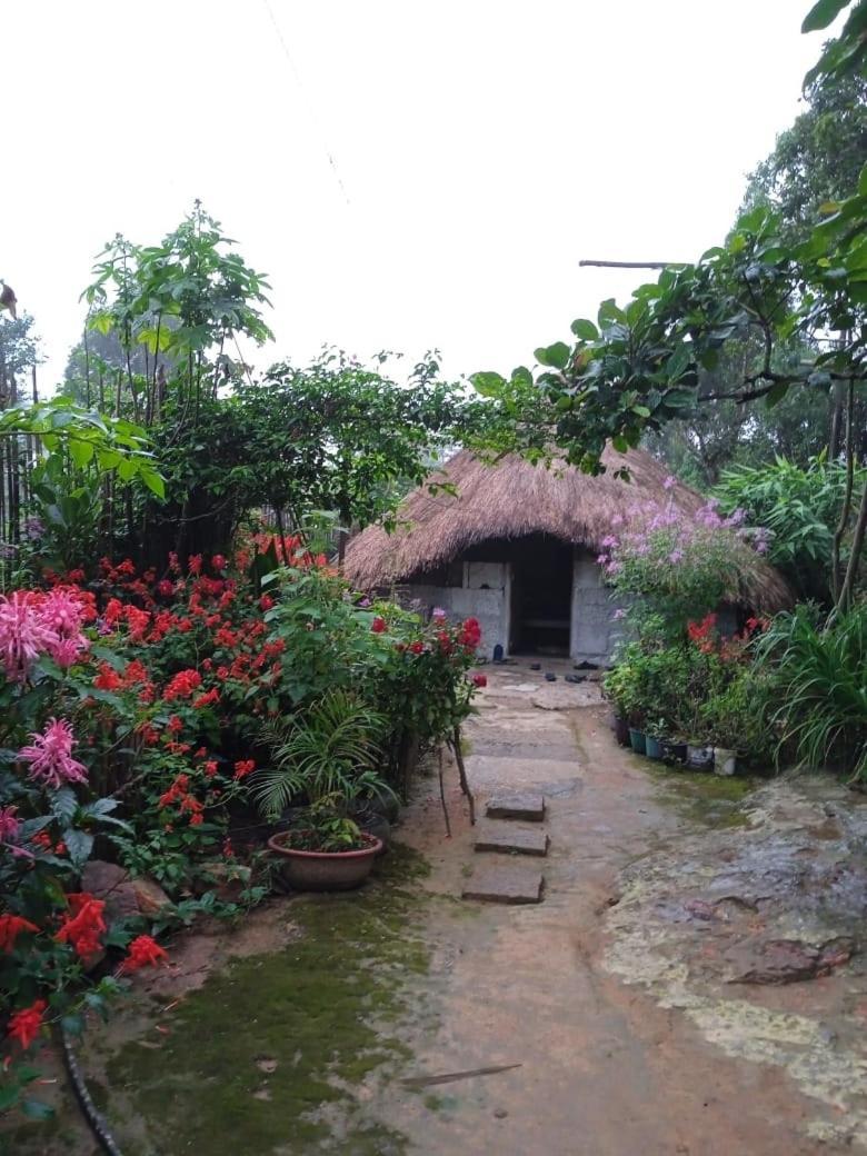 Meikha Homestay Pynursla Exterior photo
