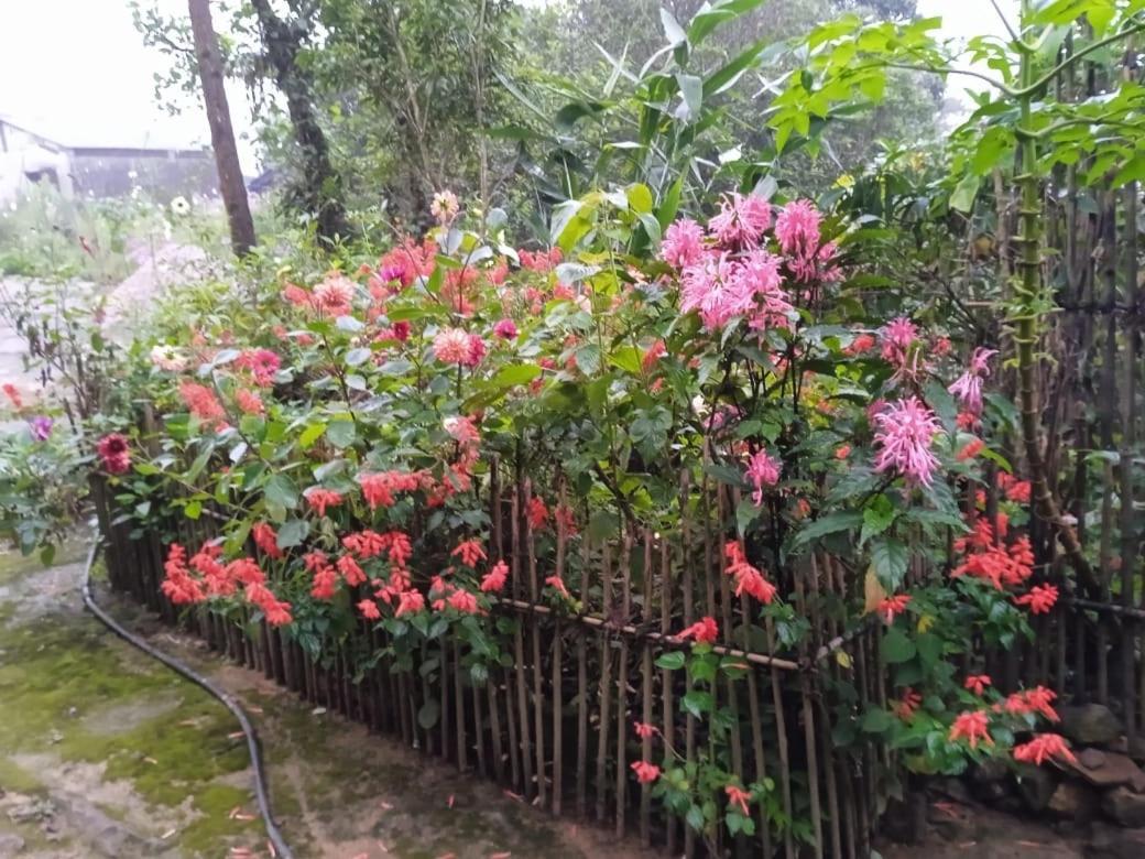 Meikha Homestay Pynursla Exterior photo